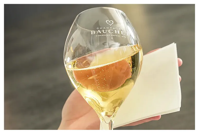 Dégustation Bauchet