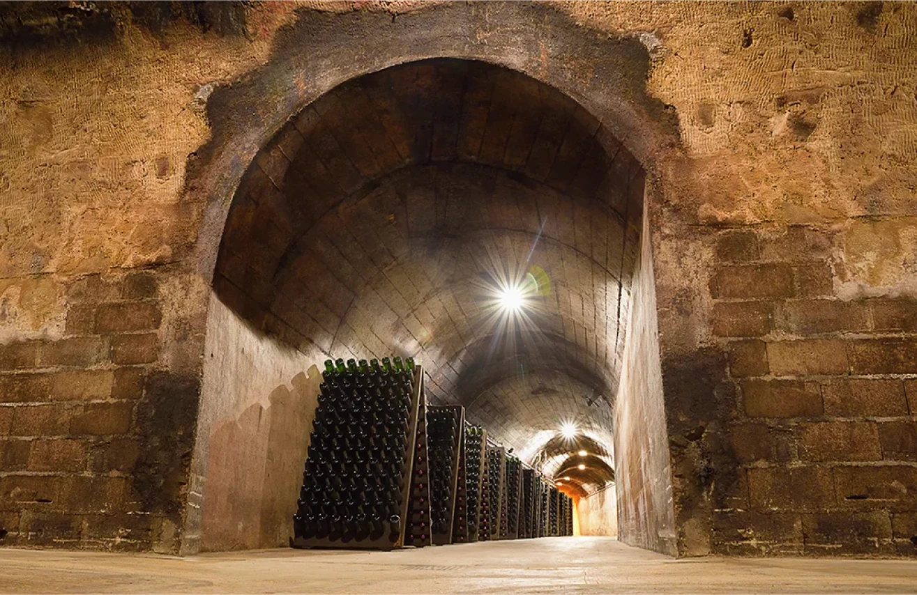 Domaine Bauchet - Visites