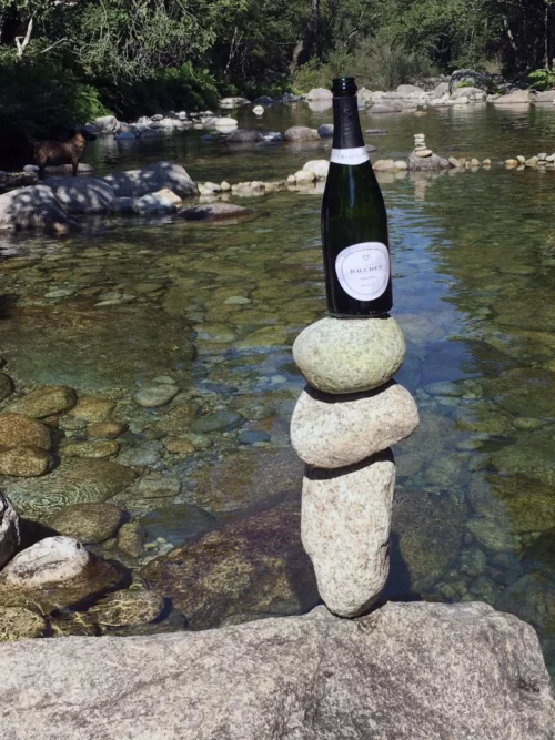 Domaine Bauchet